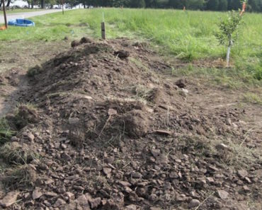 Buried