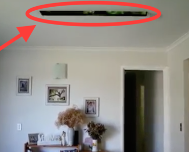 T.V.